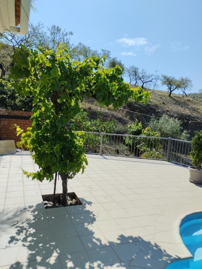 Villa Las Vinas Malaga Ngoại thất bức ảnh