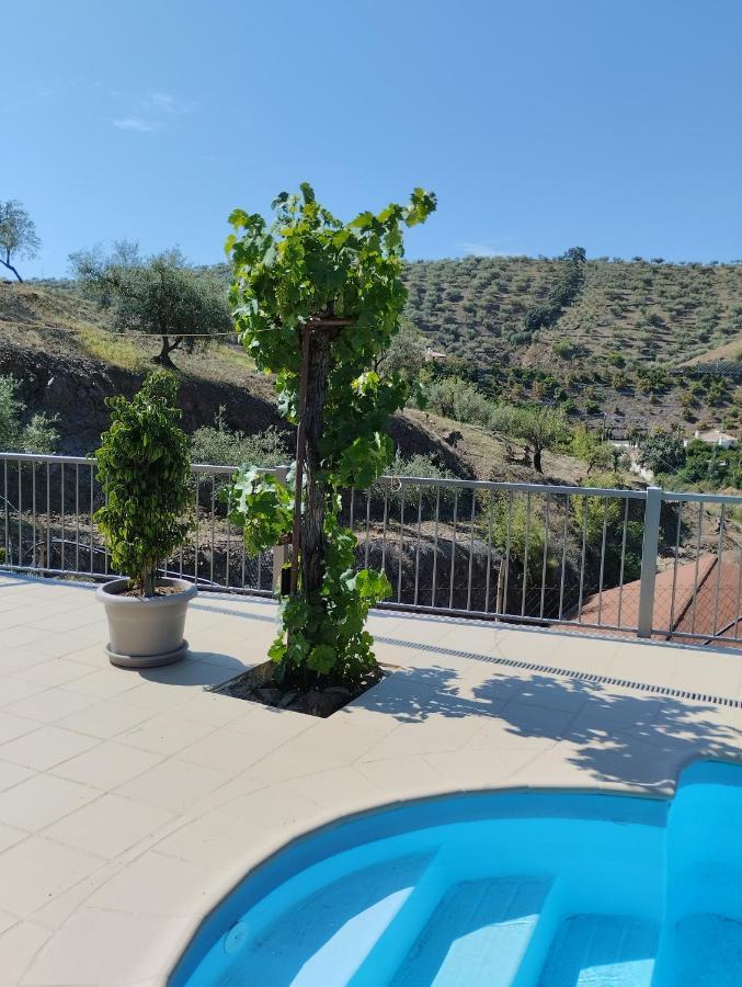 Villa Las Vinas Malaga Ngoại thất bức ảnh